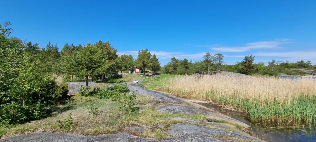 Sälkläppen – bild 4